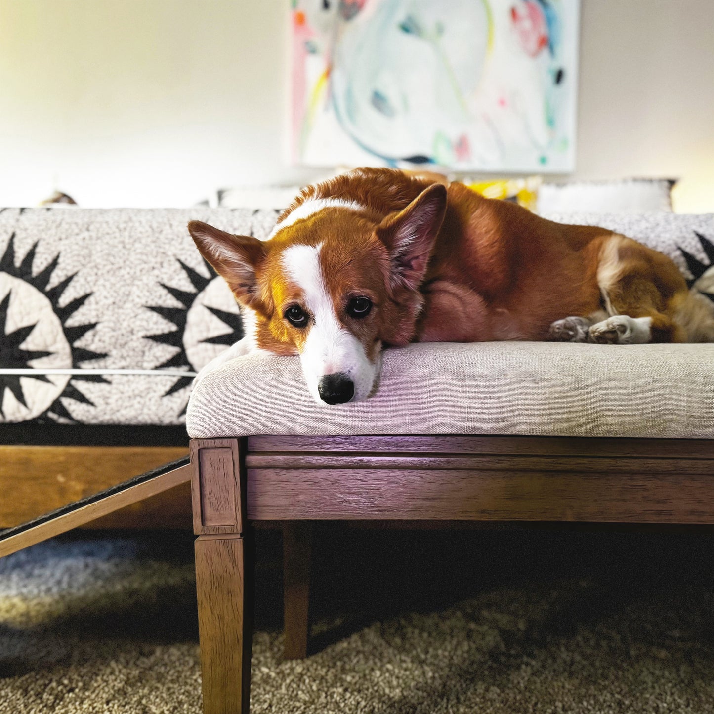 Barkley™ Pet Ramp Bench - Harvest