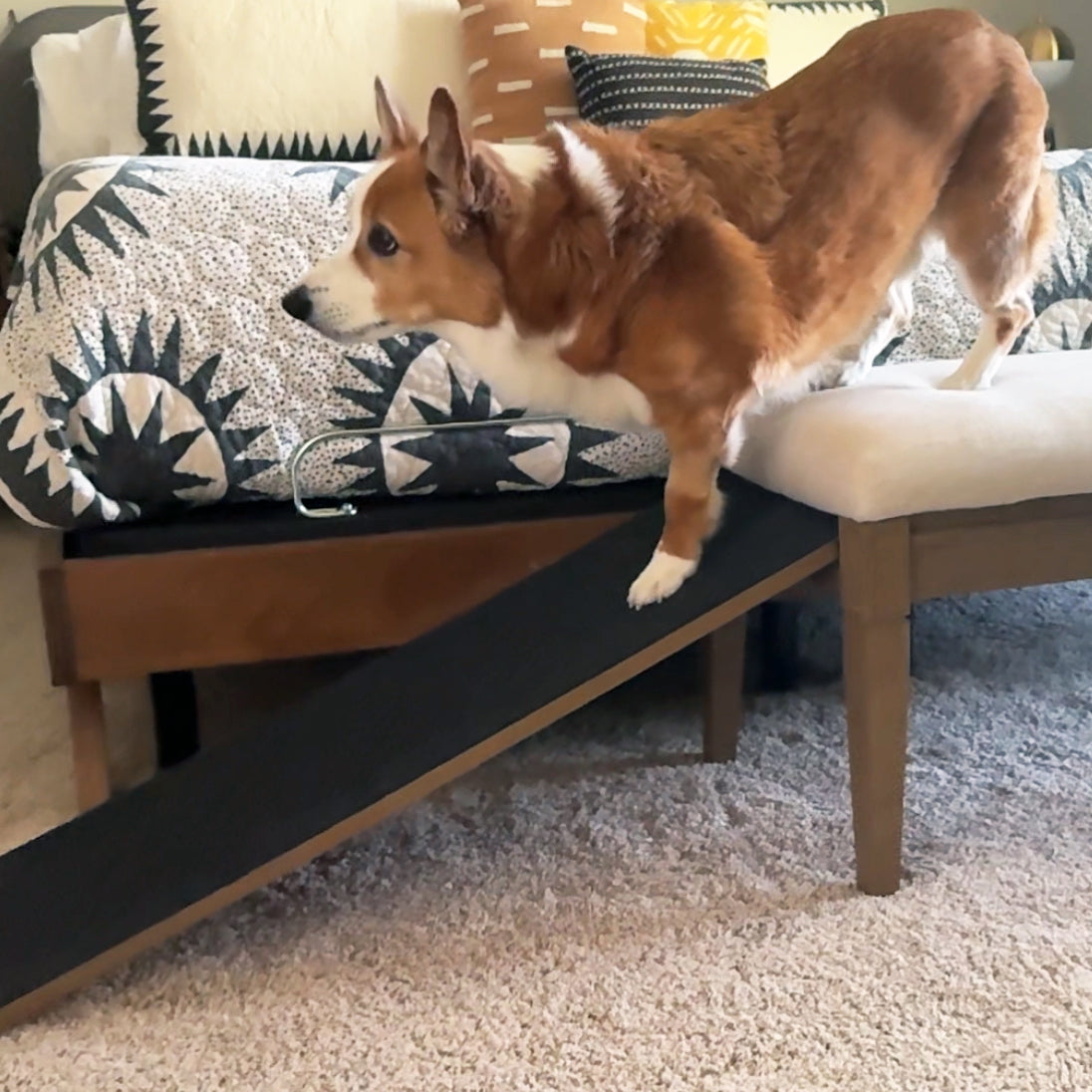 Barkley™ Pet Ramp Bench - Harvest
