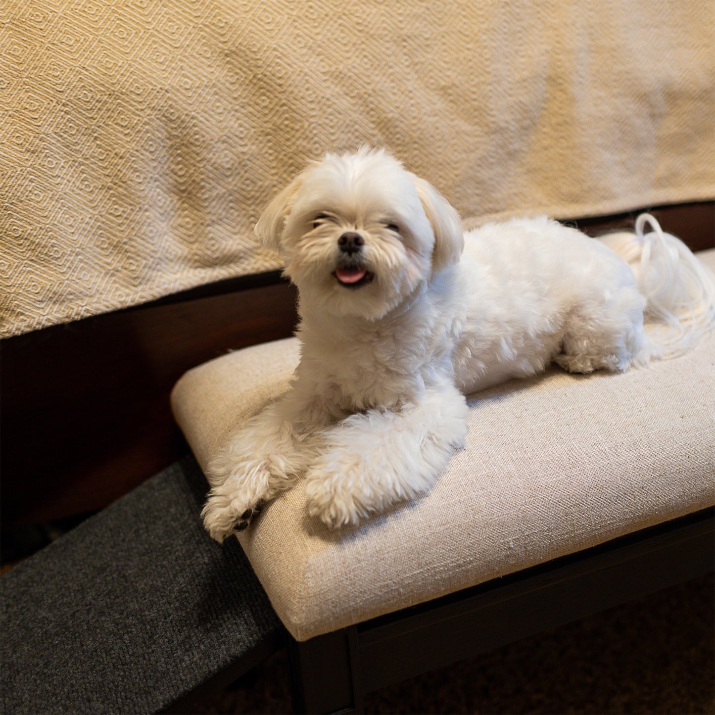 Barkley™ Pet Ramp Bench - Black Walnut