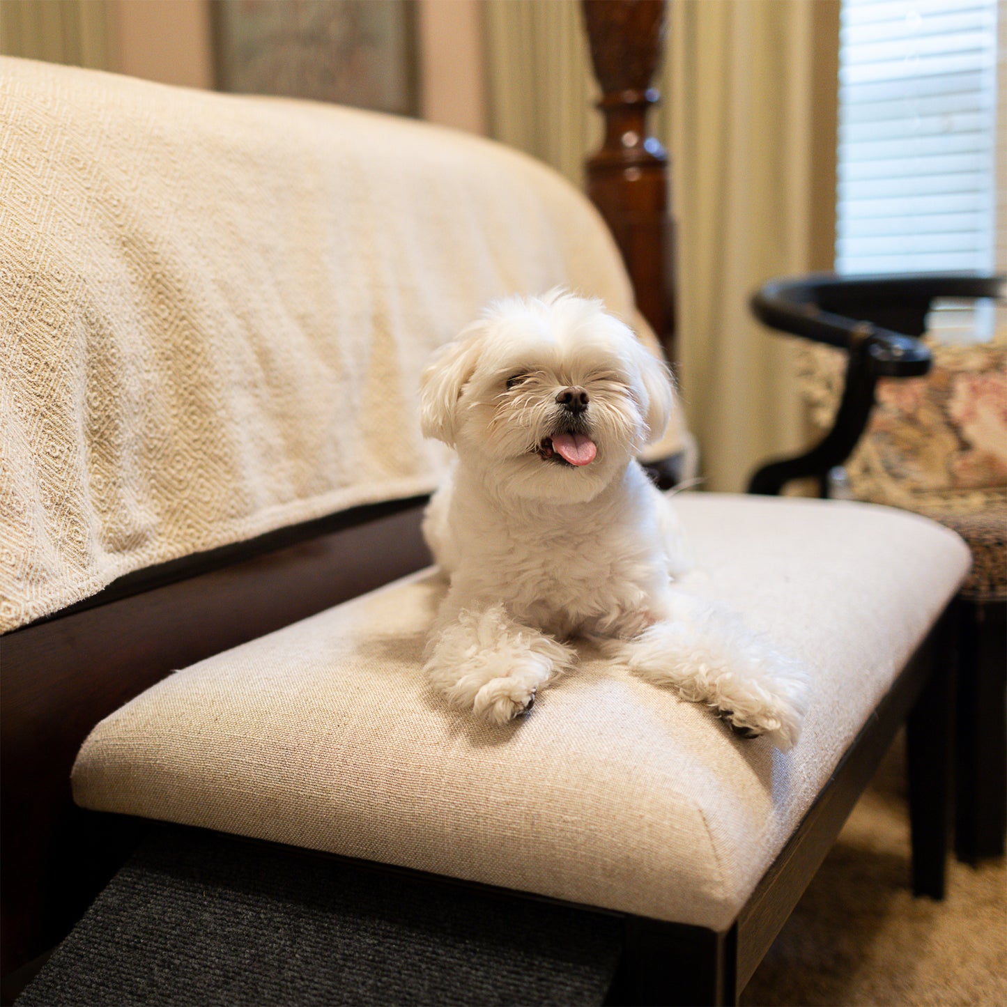 Barkley™ Pet Ramp Bench - Black Walnut
