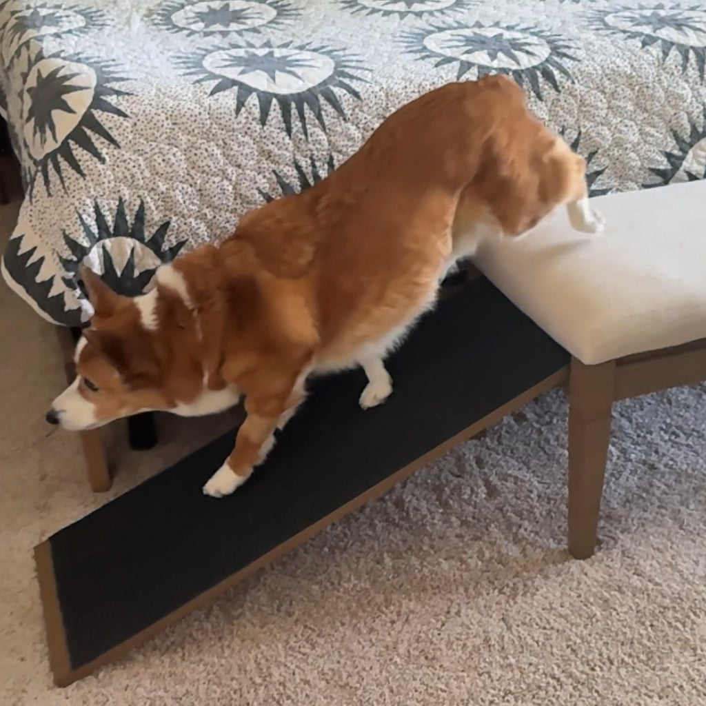 Barkley™ Pet Ramp Bench - Harvest